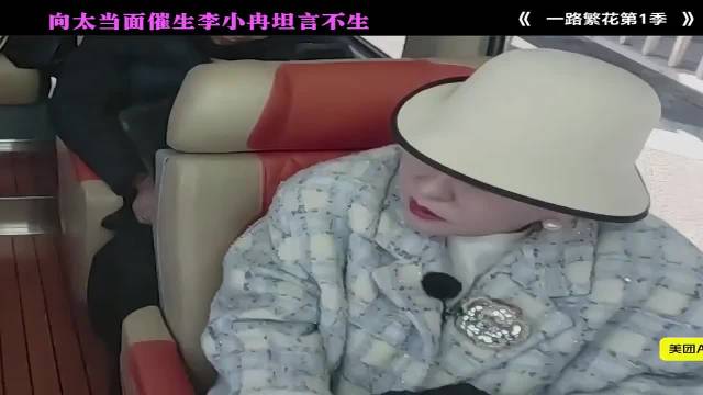 向太力挺李小冉直言繁花争议