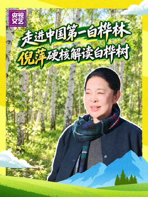 倪萍走进中国第一白桦林解读顽强生命力
