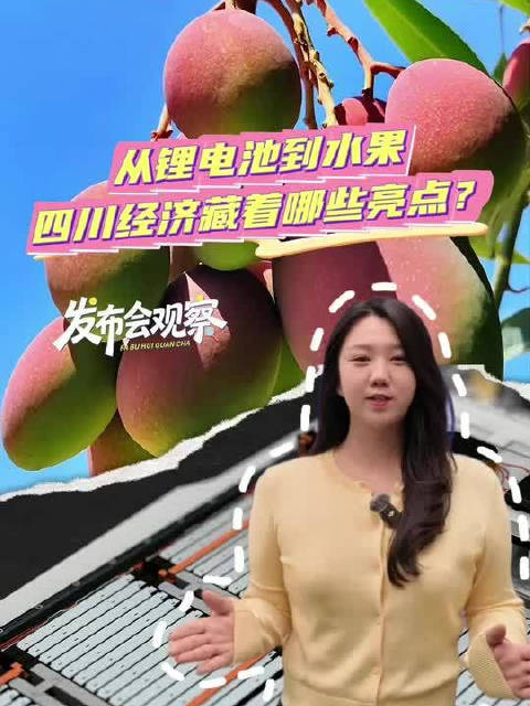 从锂电池到水果，四川经济藏着哪些亮点？｜发布会观察