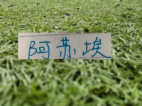 一次上桌2人！期待申花今年剩余比赛 阿苏埃都能合照！