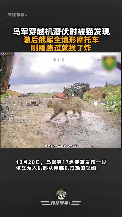 乌军穿越机潜伏时被猫发现，随后俄军全地形摩托车刚刚路过就挨了炸