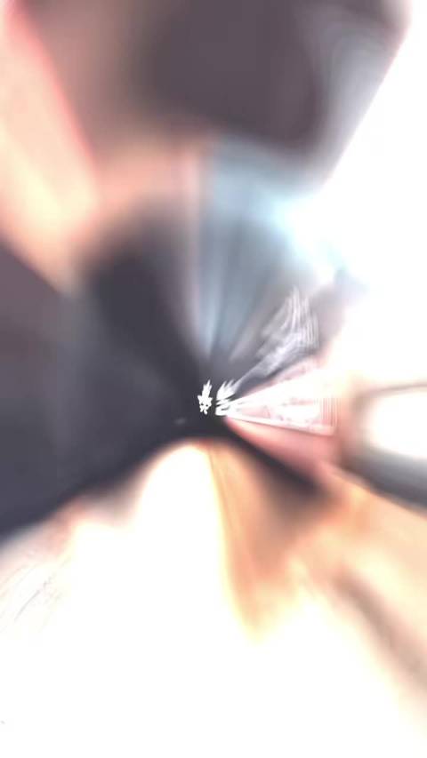 聊起二十、石榴这些小猫，每一段小故事都记得清清楚楚