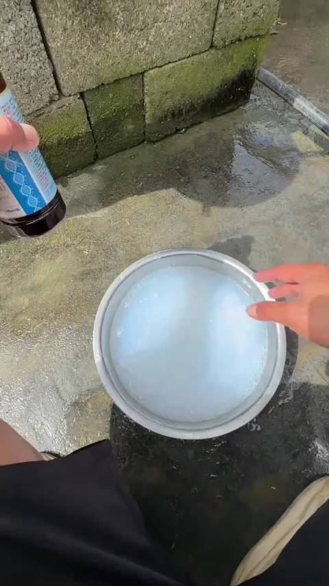 小狗跳蚤满身，药水盆里泡死后整只狗轻松了