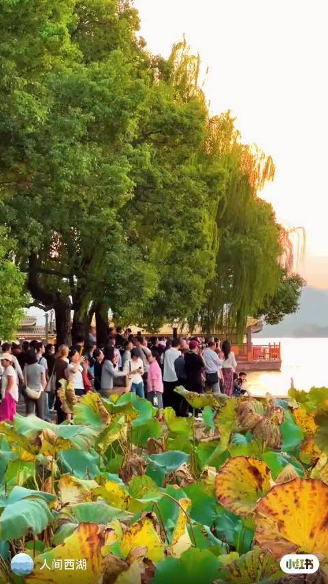 叶童姚晨杭州话剧上演 西湖骑行慢游待重逢