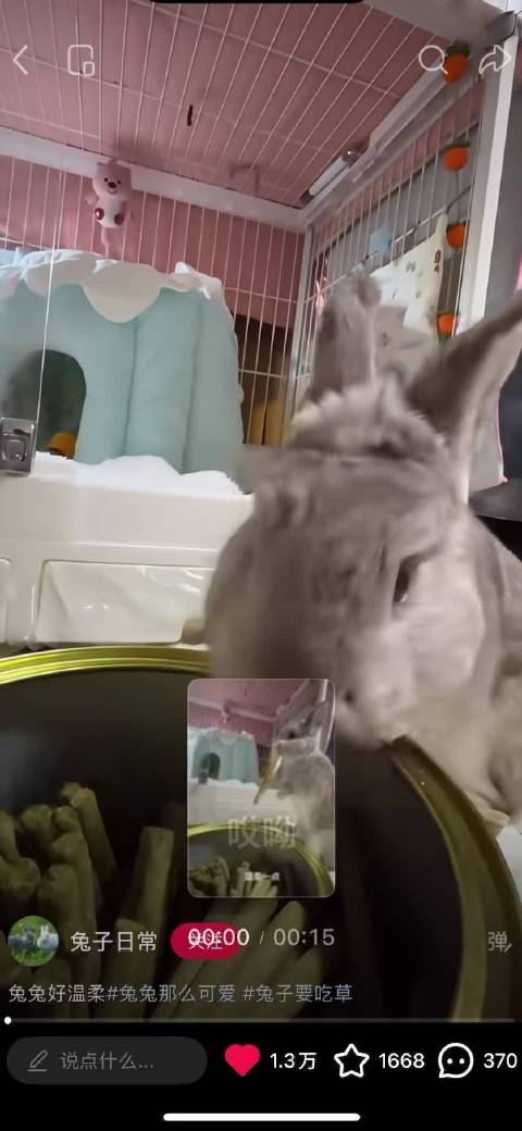 视频没有退出键引发疑问