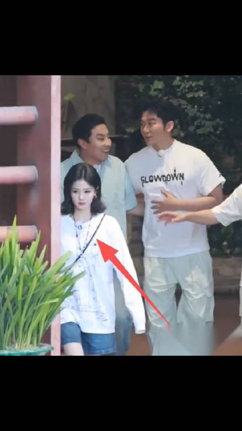 奔跑吧大湾区篇转场李晨王祖蓝徐志胜热聊白鹿翻白眼