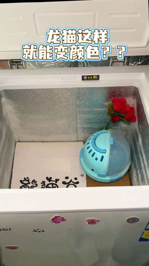 给大家变个魔术