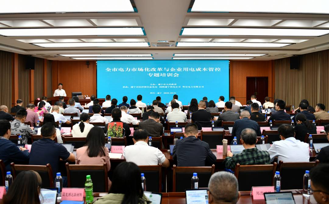 从“看懂电费”到“管好成本” 遂宁这场培训为企业用电精算“支招”