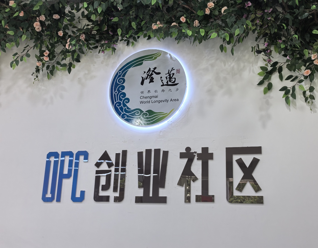 活力中国调研行｜90后程序员奔海南小县：一人公司出圈