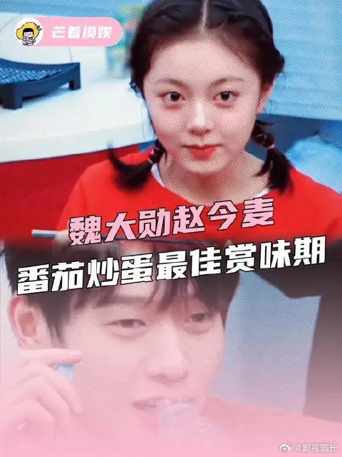 魏大勋赵今麦番茄炒蛋最佳赏味期
