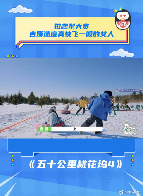 吉娜雪地运动跑得好快，平常保持训练