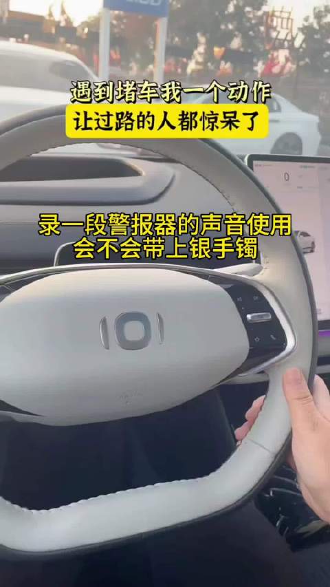 有没有试过的？长安启源汽车功能