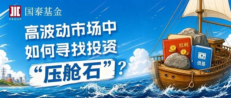 🧧高波动市场如何寻找投资“压舱石”？