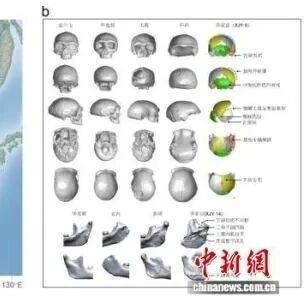 江西籍科学家付巧妹团队重大突破！许家窑人被证实属于丹尼索瓦人，神秘古人类有了“形态标识”