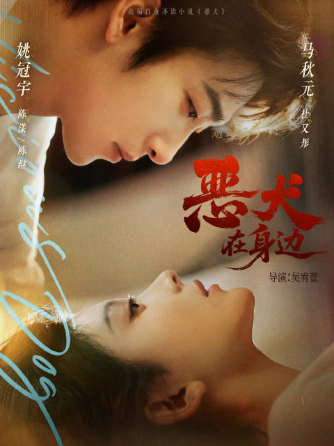姚冠宇马秋元新剧《恶犬在身边》全集1080P超清版来咯