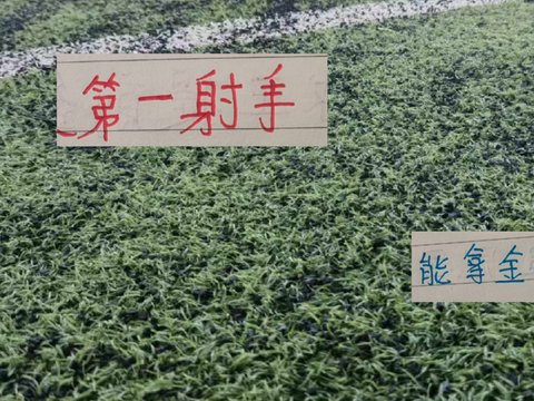 申花的伤病解决不了 就看米洛耶维奇能否帮拉唐拿金靴 申花的伤病解决不了 就看米洛耶维奇能否帮拉唐拿金靴