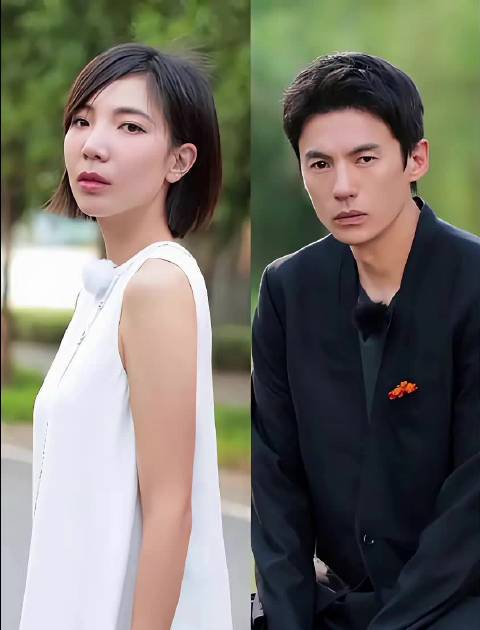 张婉婷留宋宁峰在家带娃算账