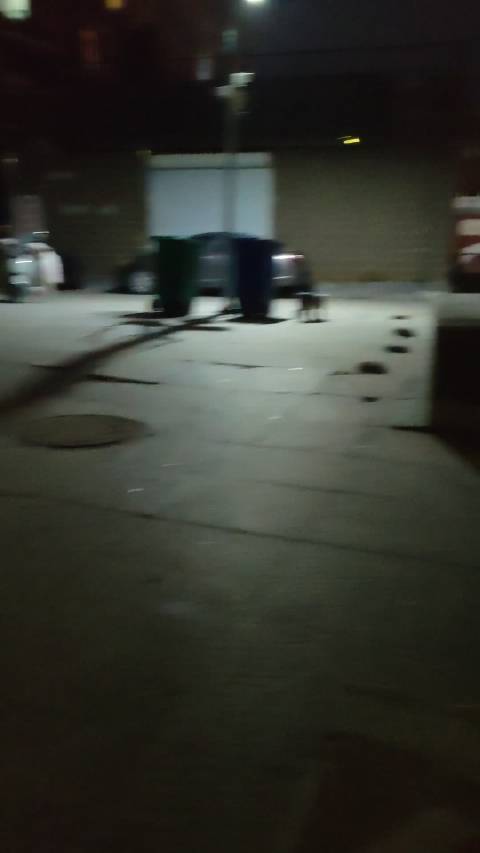 大半夜被狗磋磨过来，要遛完 ，顺便更新