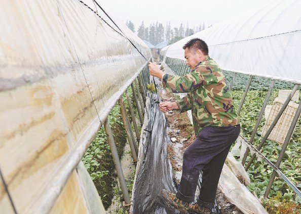 织密防护网 应对秋台风 织密防护网 应对秋台风