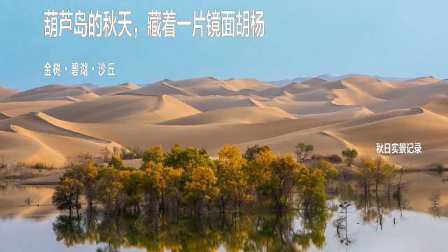 葫芦岛秋天镜面胡杨金黄倒影碧蓝湖水沙丘