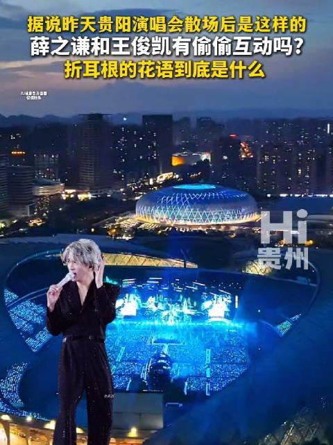 薛之谦王俊凯贵阳演唱会散场 折耳根花语引猜想