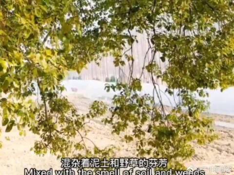 居然居然还有没见过的赵小童的物料？