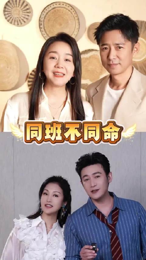 王一楠嫁金钗反派制霸荧屏，陆毅六姊妹收视破4
