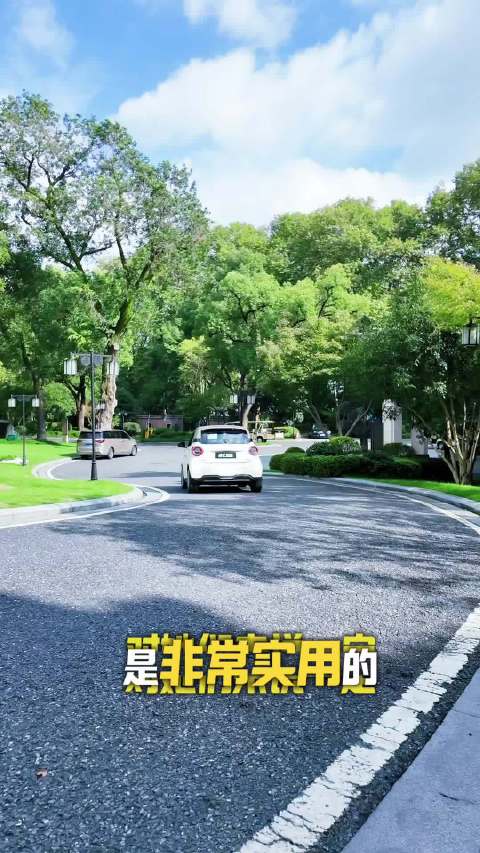smart精灵2号侧方停车自动泊车一气呵成