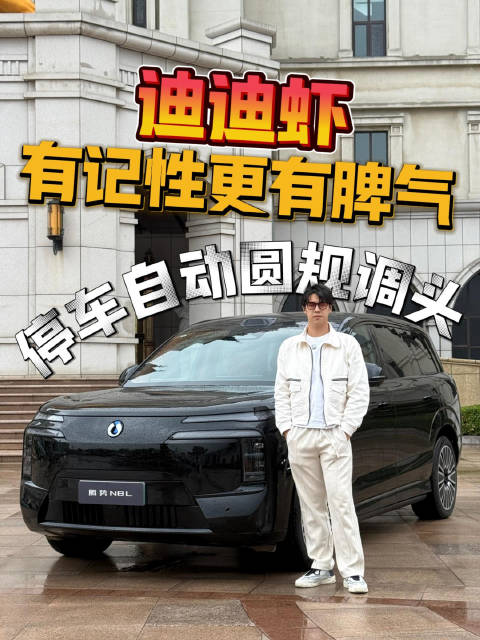 迪迪虾怼人？腾势N8L泊车自动转车尾！
