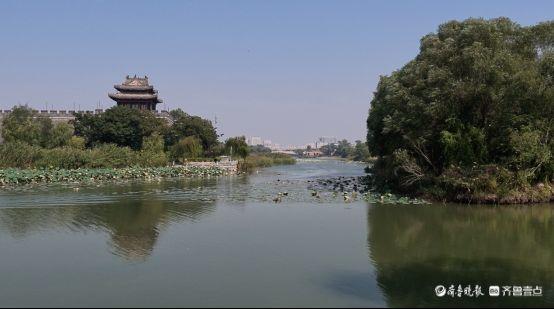 一城温情满水城⑪丨东昌湖幸福河湖:水岸可亲近,湖景入人心 一城温情满水城⑪丨东昌湖幸福河湖:水岸可亲近,湖景入人心