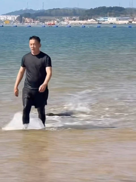 海豹娜娜追着黑衣小哥跑 小哥上岸后转圈找