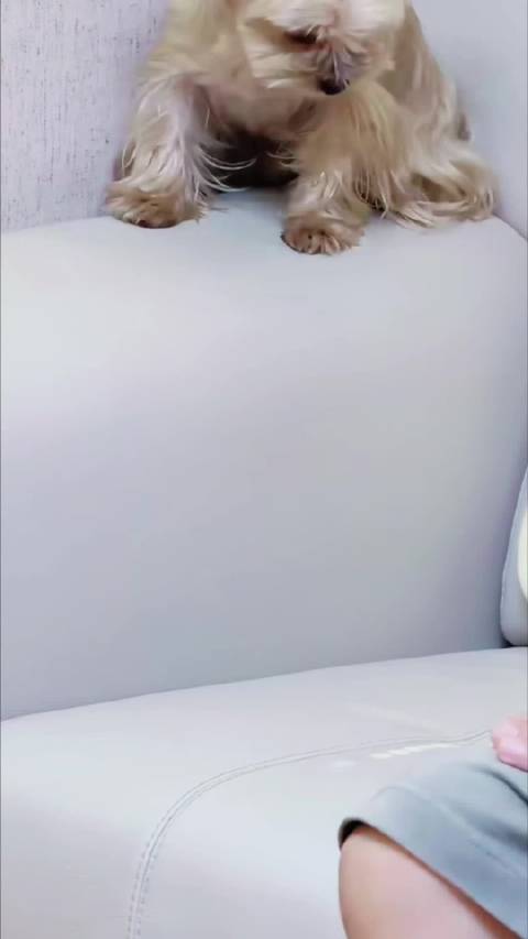 檀健次 好温柔 好好听的声音！想看看声音的主人