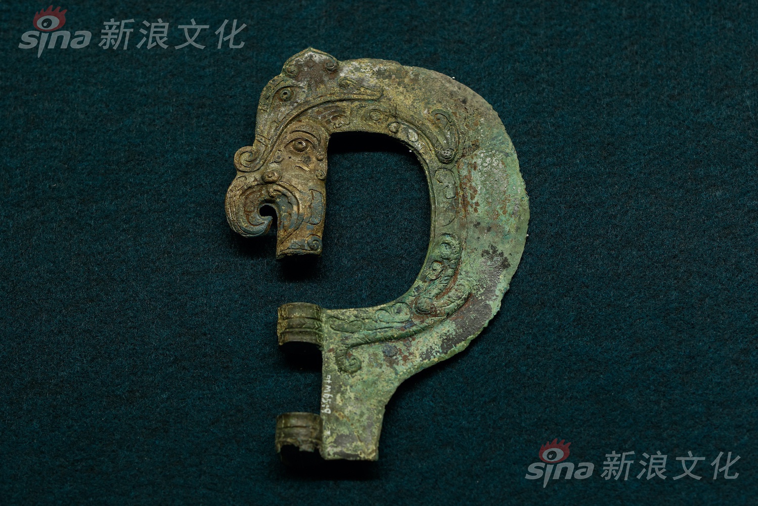 欧美肥婆性生活