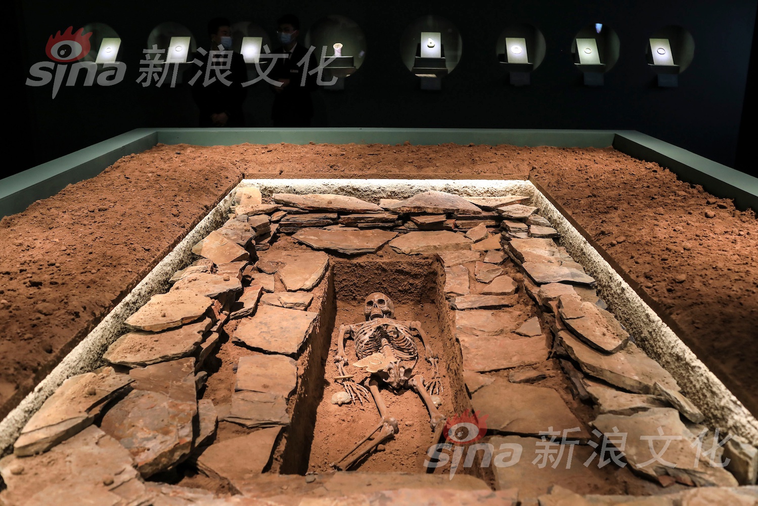 免费欧美一级片