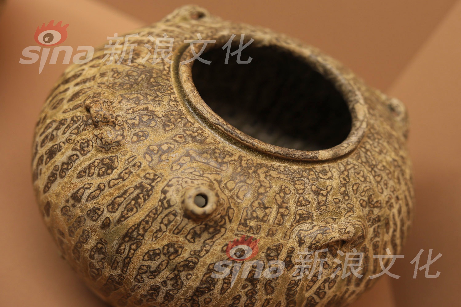 欧美禽狂配大交3D怪物