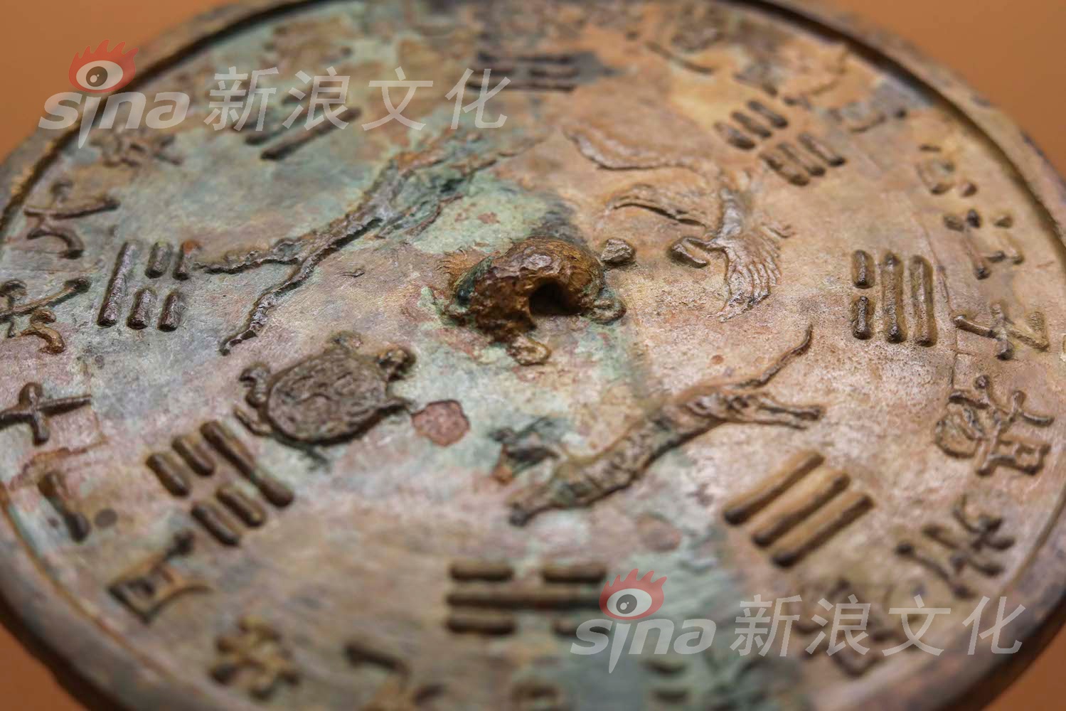 操你了高清无码