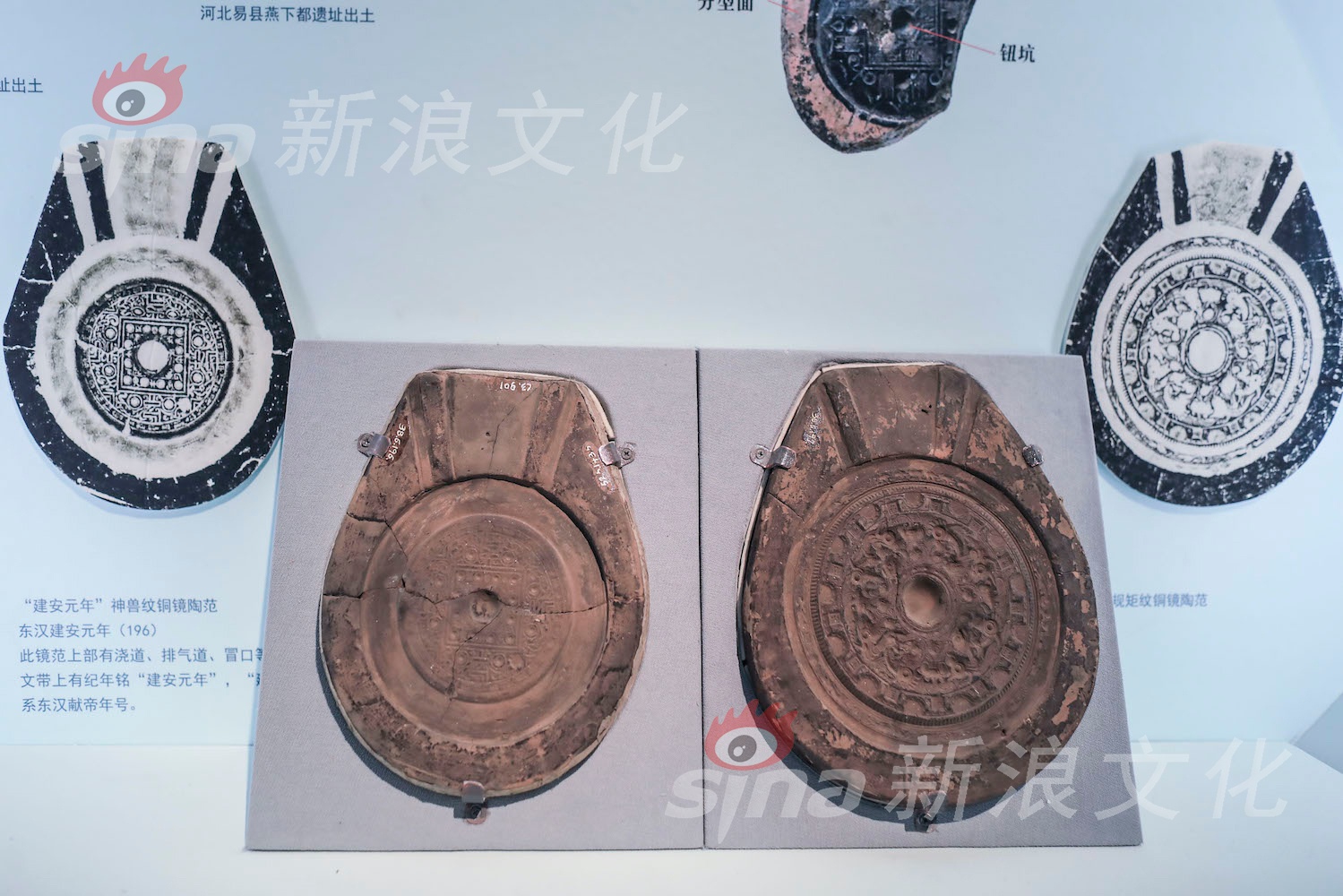 国外 黄 网