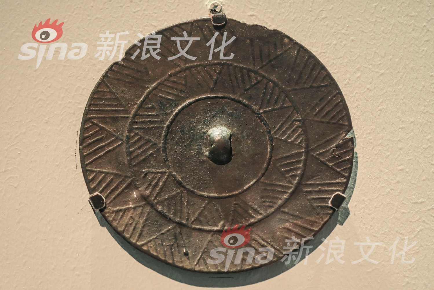 一级A片人与鲁