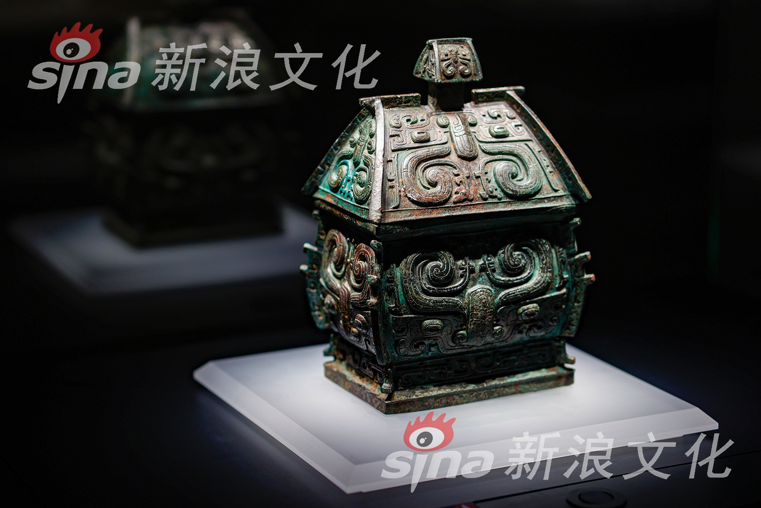 直肠电击取精