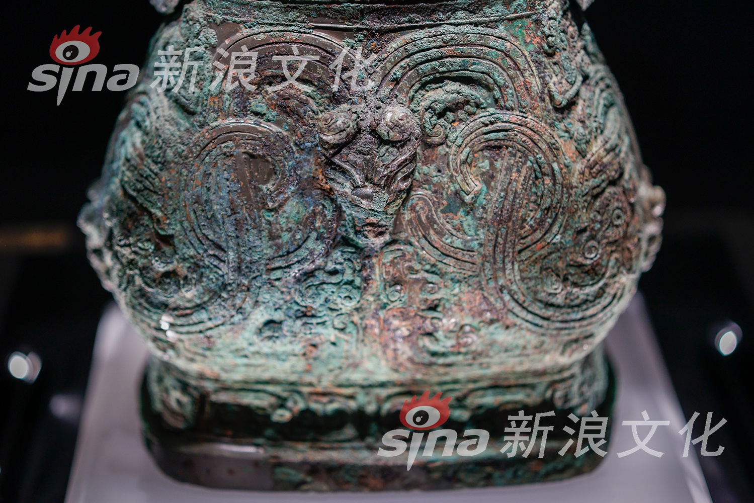 欧美老熟妇另类性文