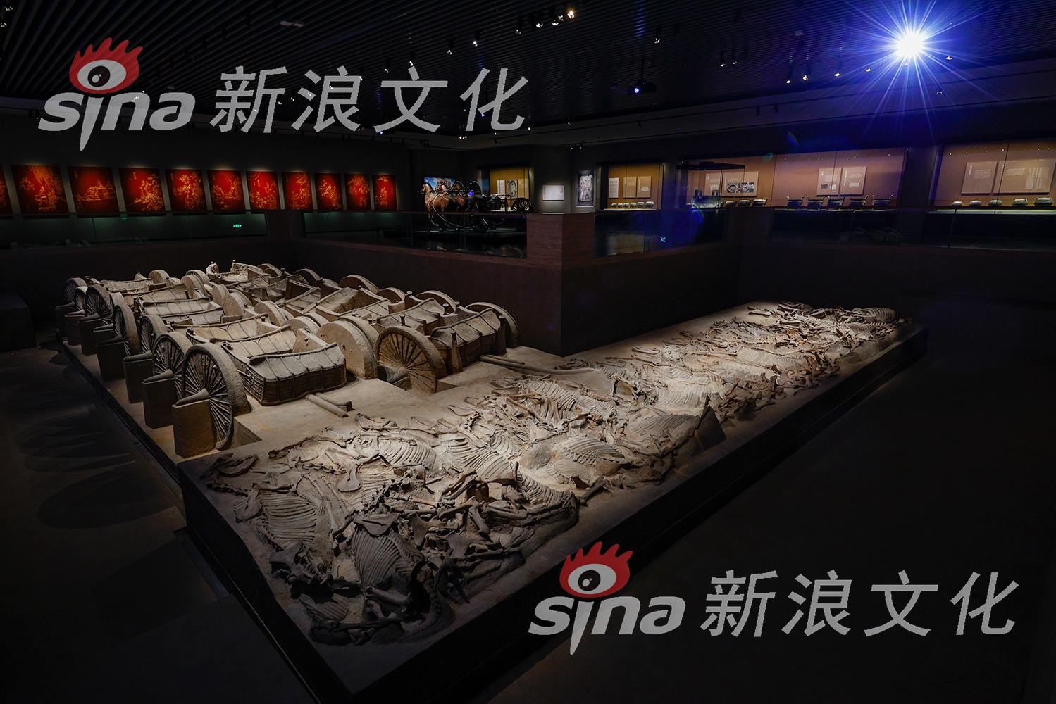 少妇人妻偷人无码激情