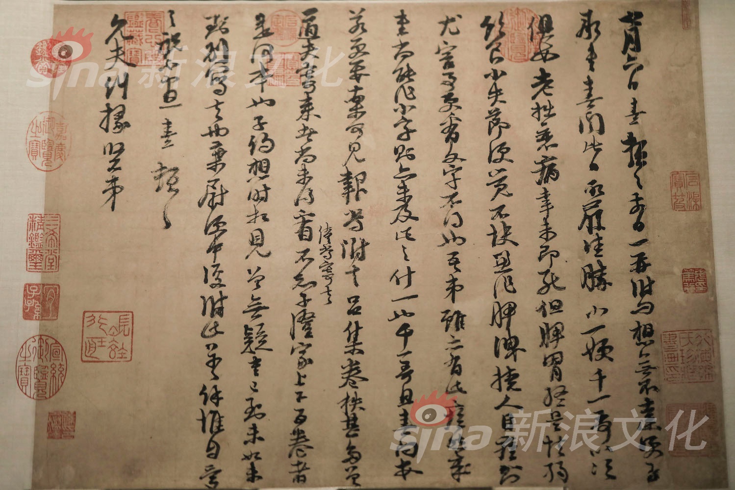 欧美激情黑人巨大性
