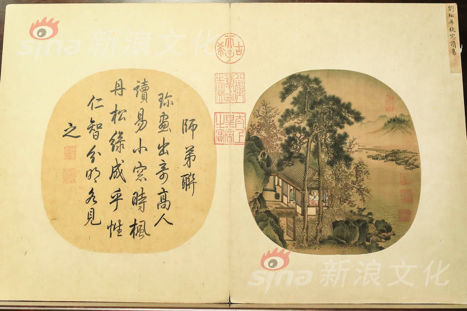 中文無碼卡通