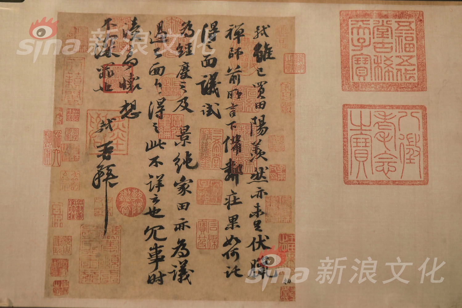 性爱 视频 免费 观看