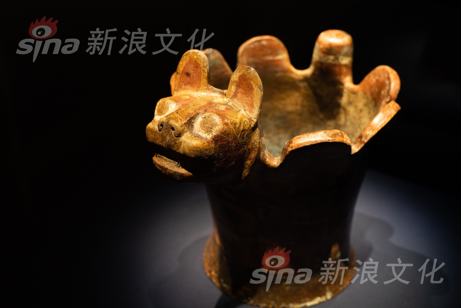 在线下载的黄色视频网站