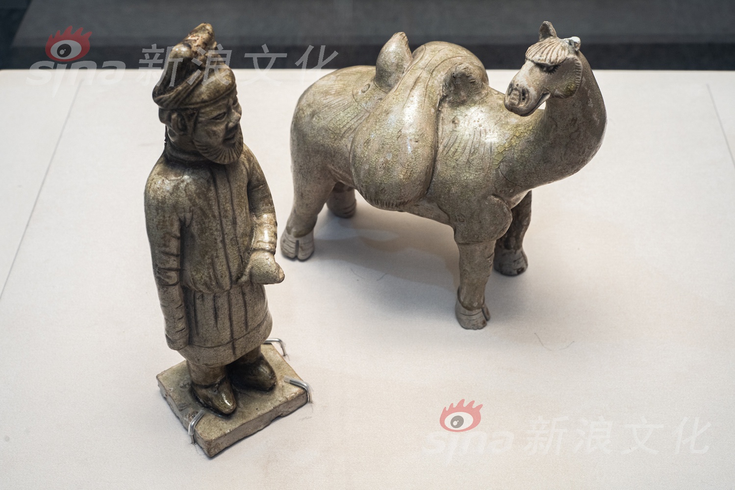 激情 色情 网