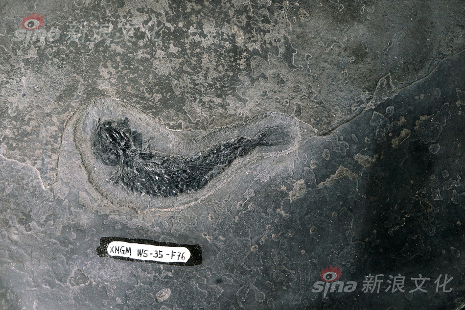 两个奶头被吃高潮受不了