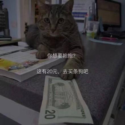 囧哥:体育老师写网文日入2万 囧哥:体育老师写网文日入2万