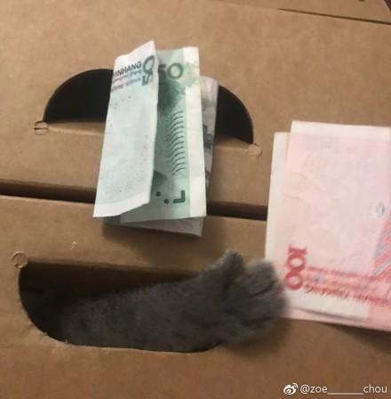 囧哥:体育老师写网文日入2万 囧哥:体育老师写网文日入2万