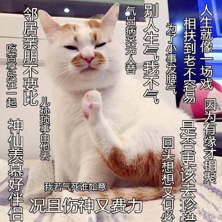囧哥:12场婚宴在同一酒店举行,你国庆随了多少份子 囧哥:12场婚宴在同一酒店举行,你国庆随了多少份子图片